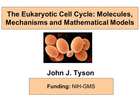 John J. Tyson Biological Sciences, Virginia Tech