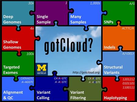 What is genomesontheCloud ?