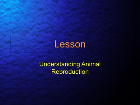 Understanding Animal Reproduction