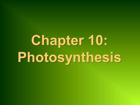 Chapter 10: Photosynthesis