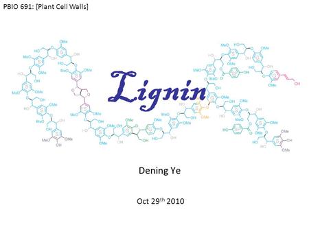 Lignin Dening Ye Oct 29 th 2010 PBIO 691: [Plant Cell Walls]