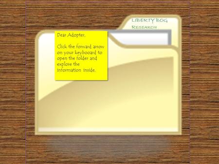Dear Adopter, Click the forward arrow on your keybooard to open the folder and explore the information inside. Dear Adopter, Click the forward arrow on.