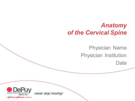 Anatomy of the Cervical Spine