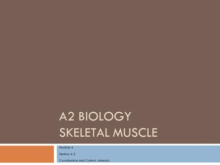 A2 Biology Skeletal muscle