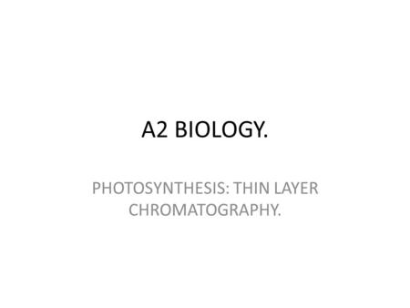 PHOTOSYNTHESIS: THIN LAYER CHROMATOGRAPHY.