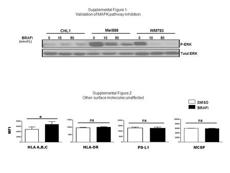 P-ERK Total ERK Mel888 CHL1 WM793 0 10 50 BRAFi (nmol/L) Supplemental Figure 2: Other surface molecules unaffected ns PD-L1 ns MCSP DMSO BRAFi Supplemental.