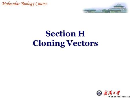 Section H Cloning Vectors