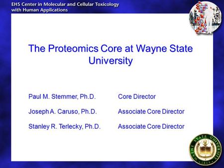 The Proteomics Core at Wayne State University