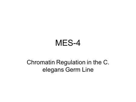 Chromatin Regulation in the C. elegans Germ Line