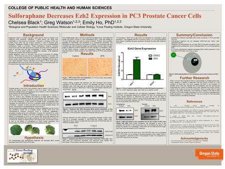 V v Results Western blotting revealed that treatment with SFN decreased Ezh2 protein expression in PC3 cells after 18 hours. This decrease was seen in.