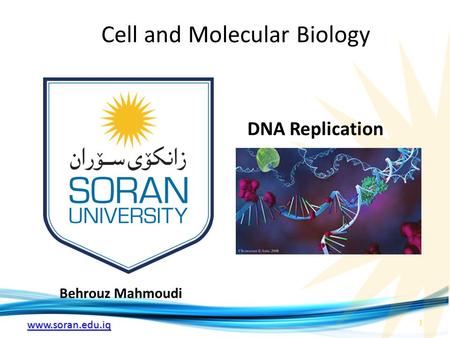 Cell and Molecular Biology