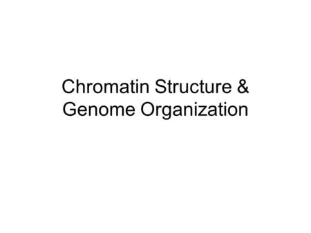 Chromatin Structure & Genome Organization. Overview of Chromosome Structure Nucleosomes –~200 bp DNA in 120 Å diameter coil –3.4 Å /bp x 200 = 680 Å –680/120.