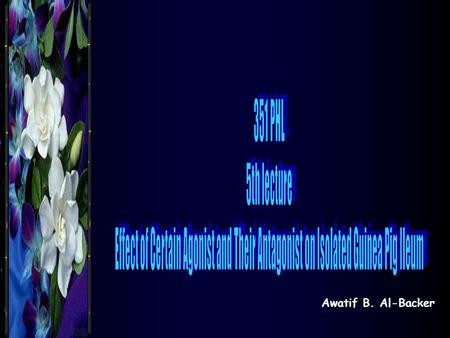 351 PHL 5th lecture Effect of Certain Agonist and Their Antagonist on Isolated Guinea Pig Ileum Awatif B. Al-Backer.