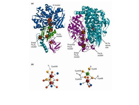 methyleneH4folatemethylH4folate formylH4folate.