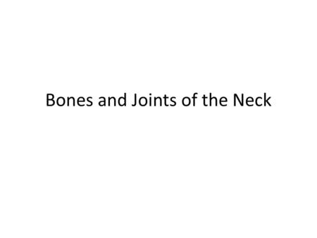 Bones and Joints of the Neck