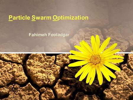 Particle Swarm Optimization