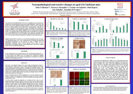 Stine N Hansen 1,2, Noreen A Alexander 1,2, Carina von Schantz 3, Outi Kopra 3, Anu Jalanko 3, Jonathan D Cooper 1,2 Neuropathological and reactive changes.