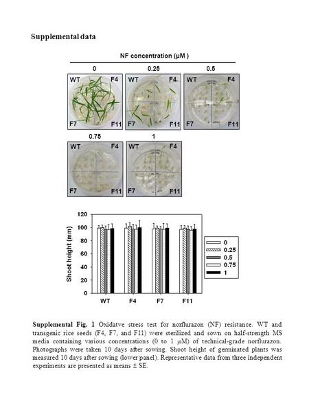 0.2500.5 10.75 Supplemental Fig. 1 Oxidatve stress test for norflurazon (NF) resistance. WT and transgenic rice seeds (F4, F7, and F11) were sterilized.