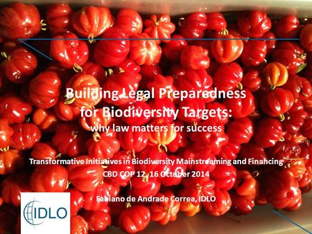 Transformative Initiatives in Biodiversity Mainstreaming and Financing CBD COP 12, 16 October 2014 Fabiano de Andrade Correa, IDLO Building Legal Preparedness.