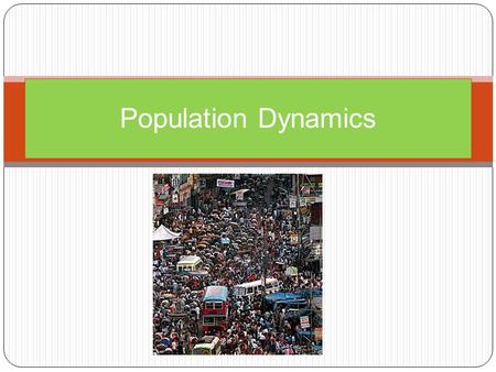 Population Dynamics.