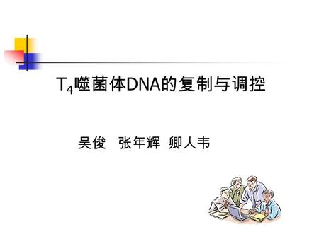 T 4 噬菌体 DNA 的复制与调控 吴俊 张年辉 卿人韦. T 4 噬菌体 DNA 的复制与调控 origin-dependent replication early in infection recombination-dependent replication at later times (RDR)