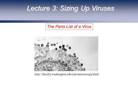 The Parts List of a Virus Lecture 3: Sizing Up Viruses