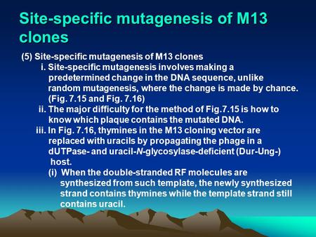 Site-specific mutagenesis of M13 clones