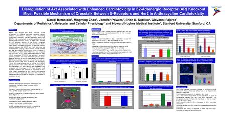 Disregulation of Akt Associated with Enhanced Cardiotoxicity in ß2-Adrenergic Receptor (AR) Knockout Mice: Possible Mechanism of Crosstalk Between ß-Receptors.