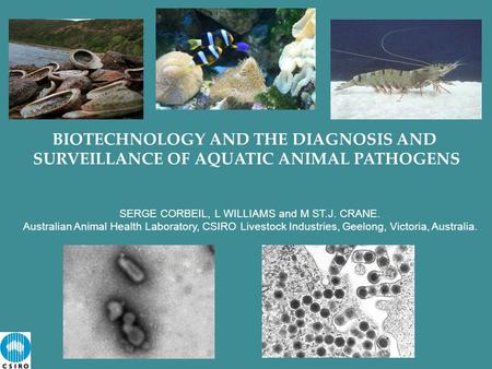 BIOTECHNOLOGY AND THE DIAGNOSIS AND SURVEILLANCE OF AQUATIC ANIMAL PATHOGENS SERGE CORBEIL, L WILLIAMS and M ST.J. CRANE. Australian Animal Health Laboratory,