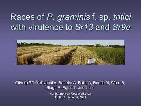 Races of P. graminis f. sp. tritici with virulence to Sr13 and Sr9e Olivera PD, Yahyaoui A, Badebo A, Rattu A, Rouse M, Ward R, Singh R, Fetch T, and Jin.