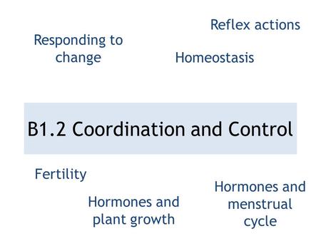 B1.2 Coordination and Control