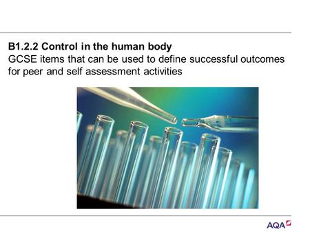 B1.2.2 Control in the human body