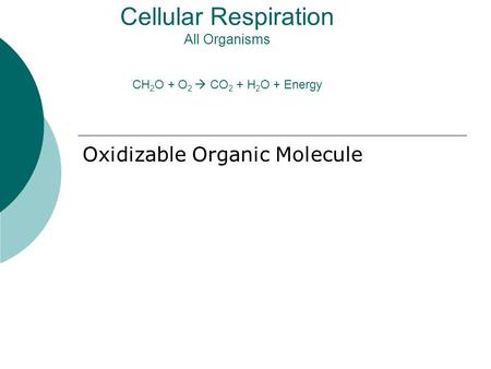 Cellular Respiration All Organisms CH 2 O + O 2  CO 2 + H 2 O + Energy Oxidizable Organic Molecule.