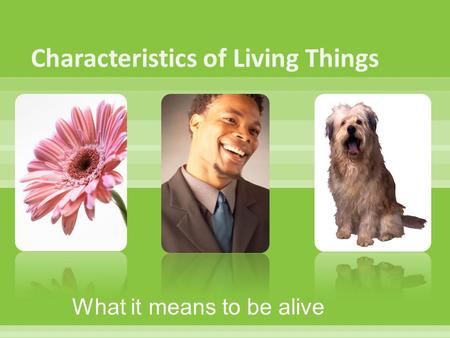 What it means to be alive.  All living things have cellular organization.  Think of cells as puzzle pieces that make up all living things  This means.