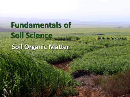 Fundamentals of Soil Science