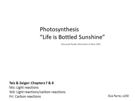 “Life is Bottled Sunshine”