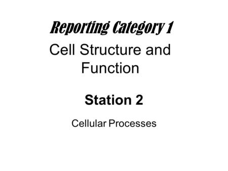 Cell Structure and Function