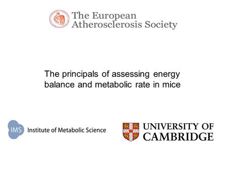 The principals of assessing energy balance and metabolic rate in mice.