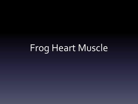 Frog Heart Muscle.