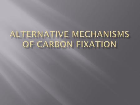  Allow for the entry of CO 2 and exit of water vapor (transpiration).  On sunny, hot, dry days, guard cells close to preserve water, but this poses.