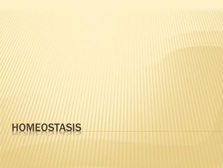  Homeo: Similar  Stasis: State of Balance  Homeostasis is the process by which an organisms internal environment is kept stable during changes in its.