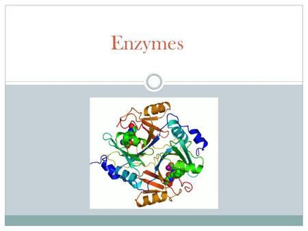 Enzymes.