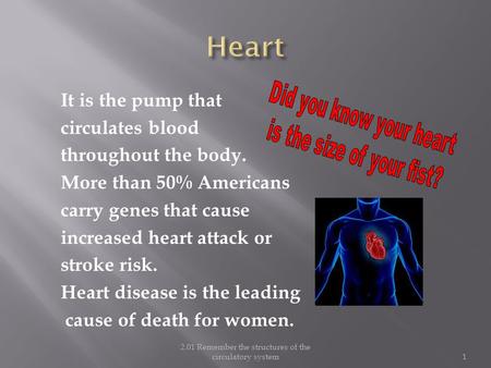 2.01 Remember the structures of the circulatory system