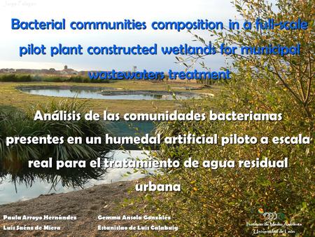 Bacterial communities composition in a full-scale pilot plant constructed wetlands for municipal wastewaters treatment Paula Arroyo HernándezGemma Ansola.