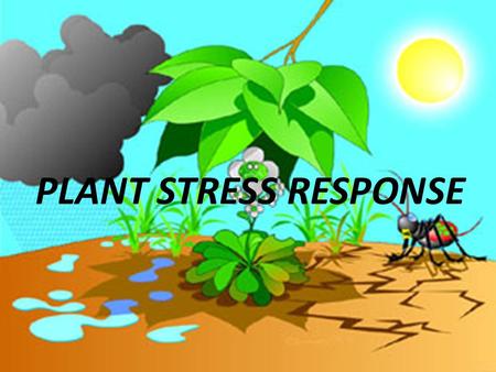 PLANT STRESS RESPONSE.