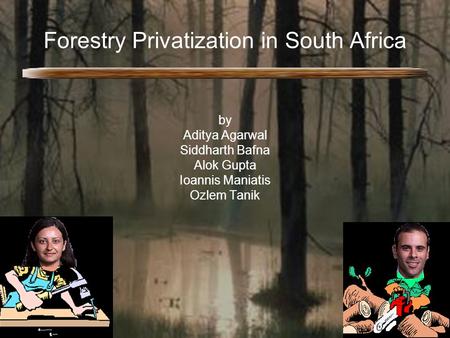 Forestry Privatization in South Africa by Aditya Agarwal Siddharth Bafna Alok Gupta Ioannis Maniatis Ozlem Tanik.