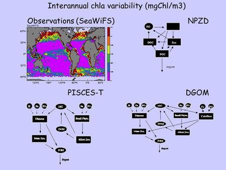 NPZD DGOM Interannual chla variability (mgChl/m3) PISCES-T Observations (SeaWiFS) Calcifiers PO 4 Fe PO 4 DOCZoo POC export.