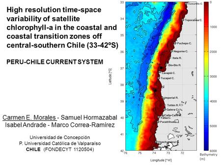 Carmen E. Morales - Samuel Hormazabal Isabel Andrade - Marco Correa-Ramírez Universidad de Concepción P. Universidad Católica de Valparaíso CHILE (FONDECYT.