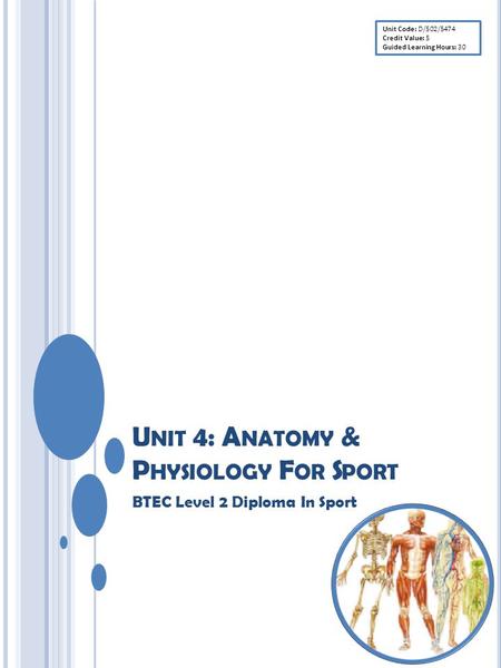 U NIT 4: A NATOMY & P HYSIOLOGY F OR S PORT BTEC Level 2 Diploma In Sport Unit Code: D/502/5474 Credit Value: 5 Guided Learning Hours: 30.