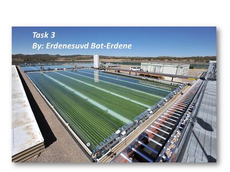 Task 3 By: Erdenesuvd Bat-Erdene. 25,000L PBR 3 d PBR Pond M2.5 Supernatant E-2 M3.5 Supernatant E-3 E-1 M2.1 CO2 M7.3 Hot Air M7.1 Evaporated Waste Water.